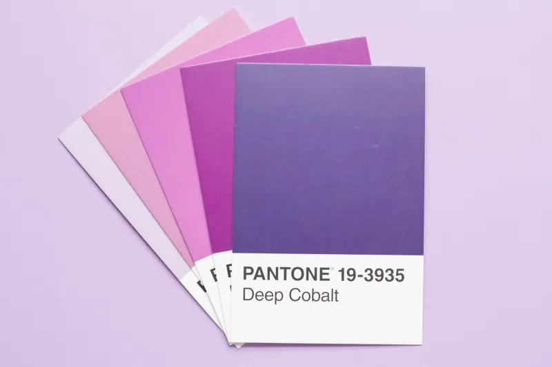 Brand Anarchy: Why Ditching the Style Guide Is the Boldest Move a Company Can Make